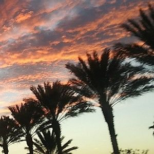 Meet your Posher, Krista